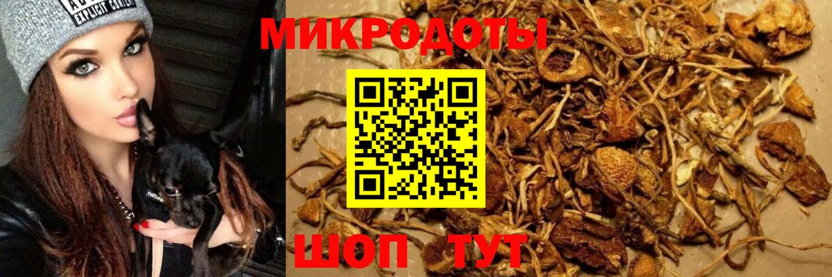 Галлюциногенные грибы мицелий Чернушка